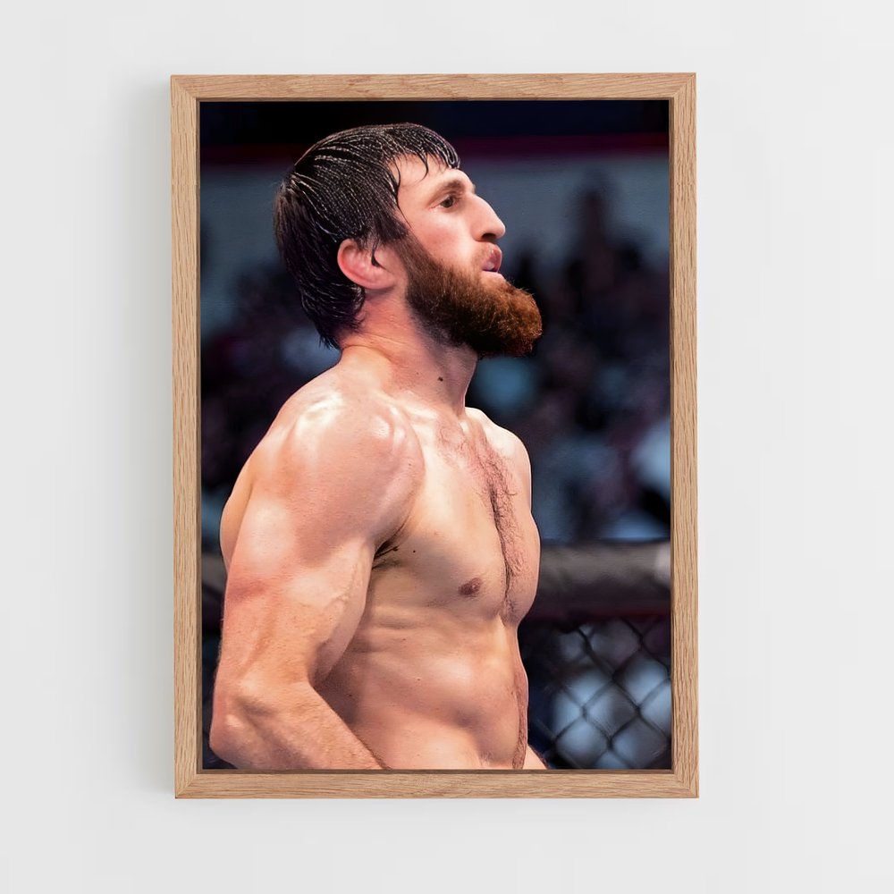 Poster Cage de Combat – affiche MMA (vue 4)